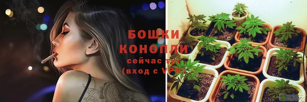 прущий лед Карпинск