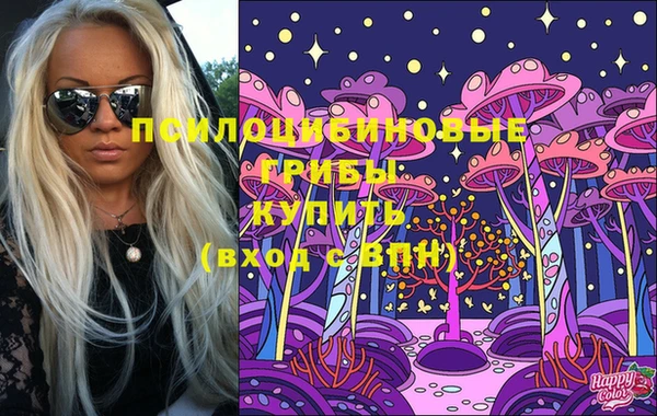 прущий лед Карпинск