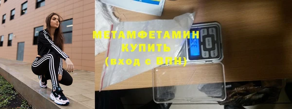PSILOCYBIN Карталы