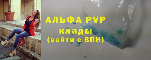 PSILOCYBIN Карталы