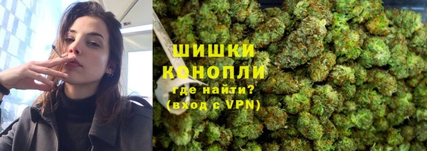 PSILOCYBIN Карталы