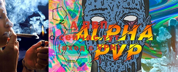 PSILOCYBIN Карталы
